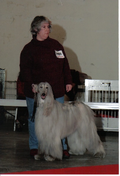 CH. Tanit De l'Isle Rare