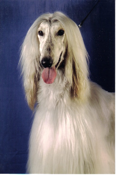 Chunky atar'ra of suliman jad